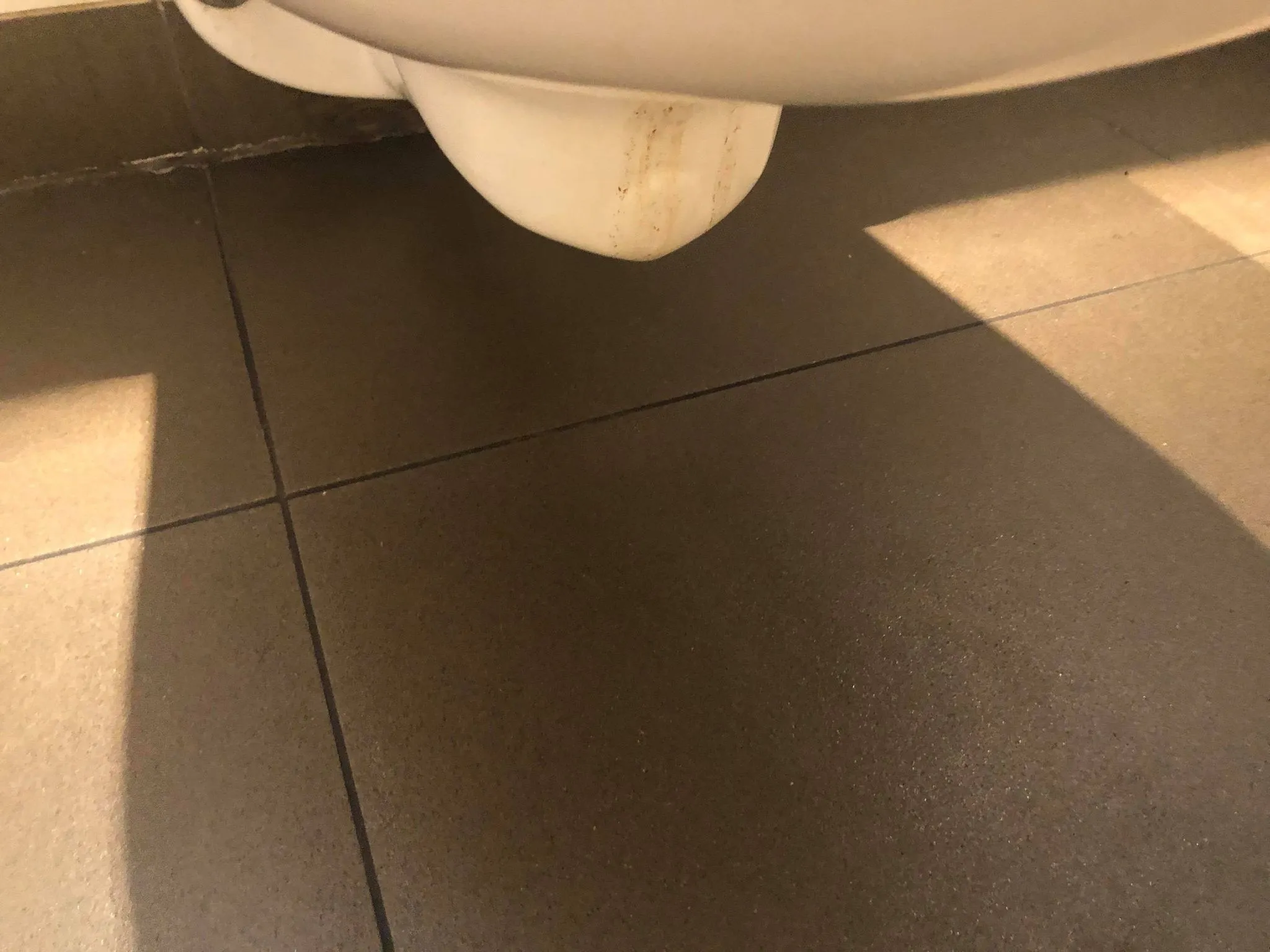 The underside of a toilet bowl where it meets the floor
